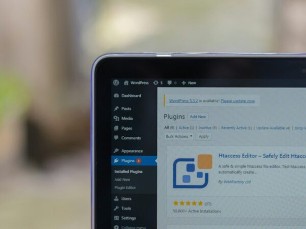 Wordpress optimiser site